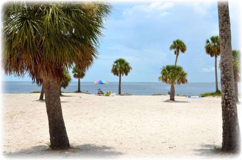 Hibiscus Hideaway Villa Tarpon Springs Kültér fotó